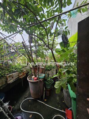 LÔ GÓC 3 MẶT THOÁNG – MẶT NGÕ THÔNG – Ô TÔ TRÁNH DỪNG ĐỖ