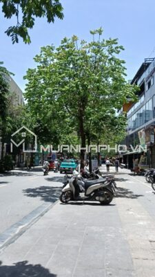MẶT PHỐ TRUNG TÂM – VỈA HÈ RỘNG – KINH DOANH SẦM UẤT