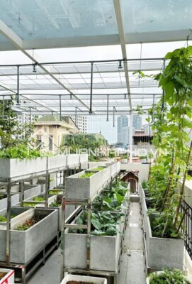 BIỆT THỰ SÂN VƯỜN ĐẸP – LÔ GÓC – 5 TẦNG THANG MÁY – 2 MẶT NGÕ Ô TÔ TRÁNH